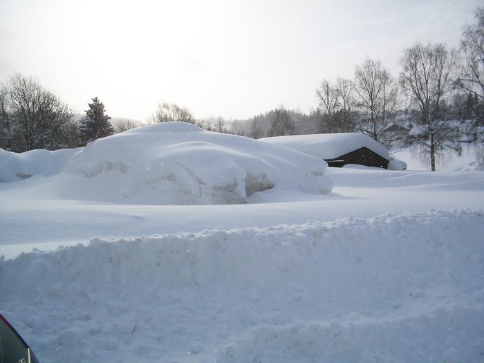 Foto & Copyright 2006 Daniel Neum�ller, Emmering