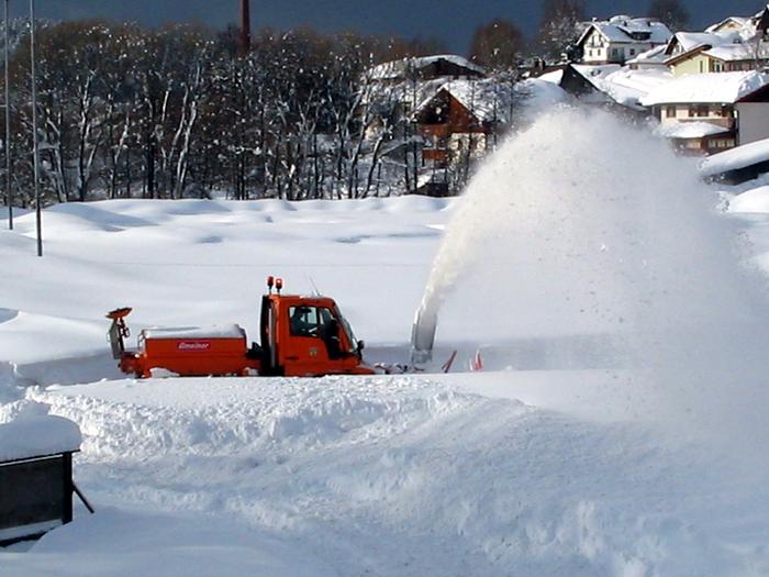 Foto & Copyright Daniel Neum�ller, Emmering