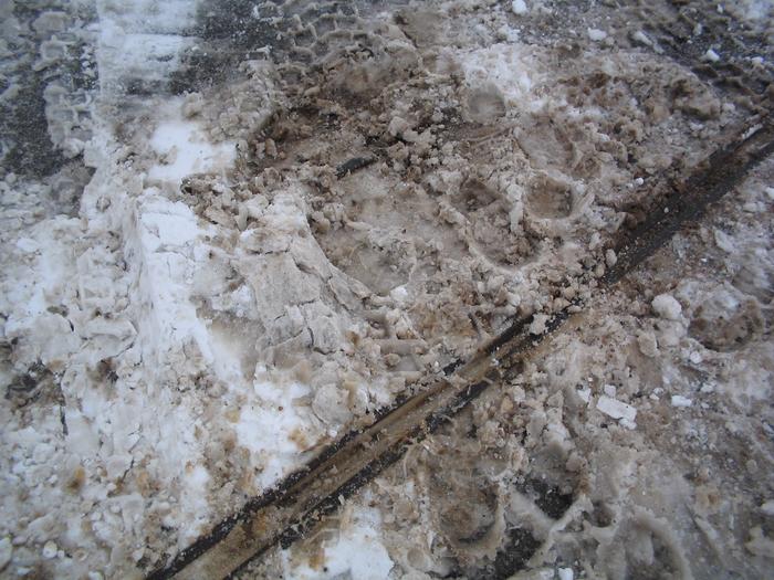 Foto & Copyright 2006 Daniel Neum�ller, Emmering